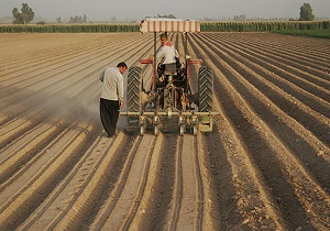 بهبود کیفیت اراضی کشاورزی با اجرای عملیات تسطیح
