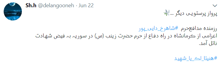 پرواز آسمانی دایی جبهه ها