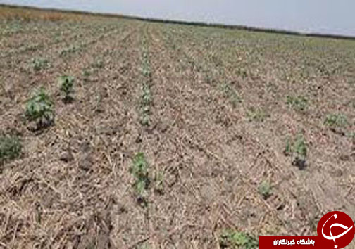 نگاهی گذرا به مهمترین رویداد&zwnj;های دوشنبه ۴ تیرماه در مازندران