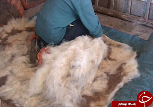 هنر نمدمالی هنری اصیل و دیرینه در بروجرد /  نمد مالی هنری در مسیر فراموشی+ تصاویر