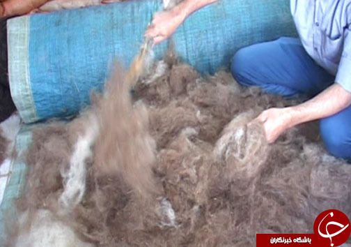 هنر نمدمالی هنری اصیل و دیرینه در بروجرد /  نمد مالی هنری در مسیر فراموشی+ تصاویر
