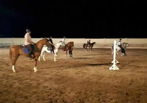 شب بخارا شبی برای معرفی وحشی بافقی در بافق