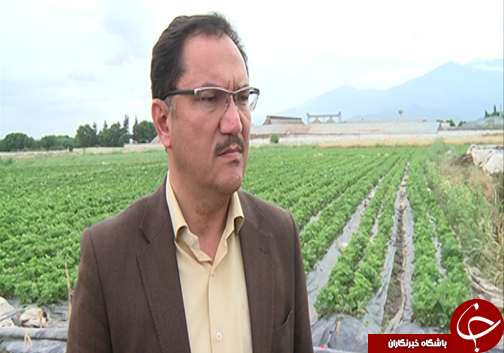 روش&zwnj;های نوین کشاورزی برای صرفه جویی در آب / نقش کشاورزان گلستانی برای نجات از بحران آب چیست؟