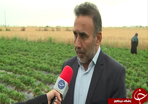 روش&zwnj;های نوین کشاورزی برای صرفه جویی در آب / نقش کشاورزان گلستانی برای نجات از بحران آب چیست؟