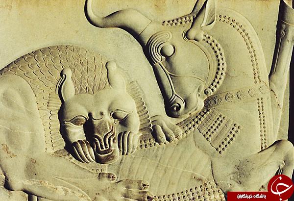 نماد گاو چه معنا و مفهومی دارد؟!/ نماد گاو در فرهنگ&zwnj;های مختلف