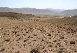 بازگشت ۲۰ هکتار از عرصه‌های منابع طبیعی خراسان جنوبی