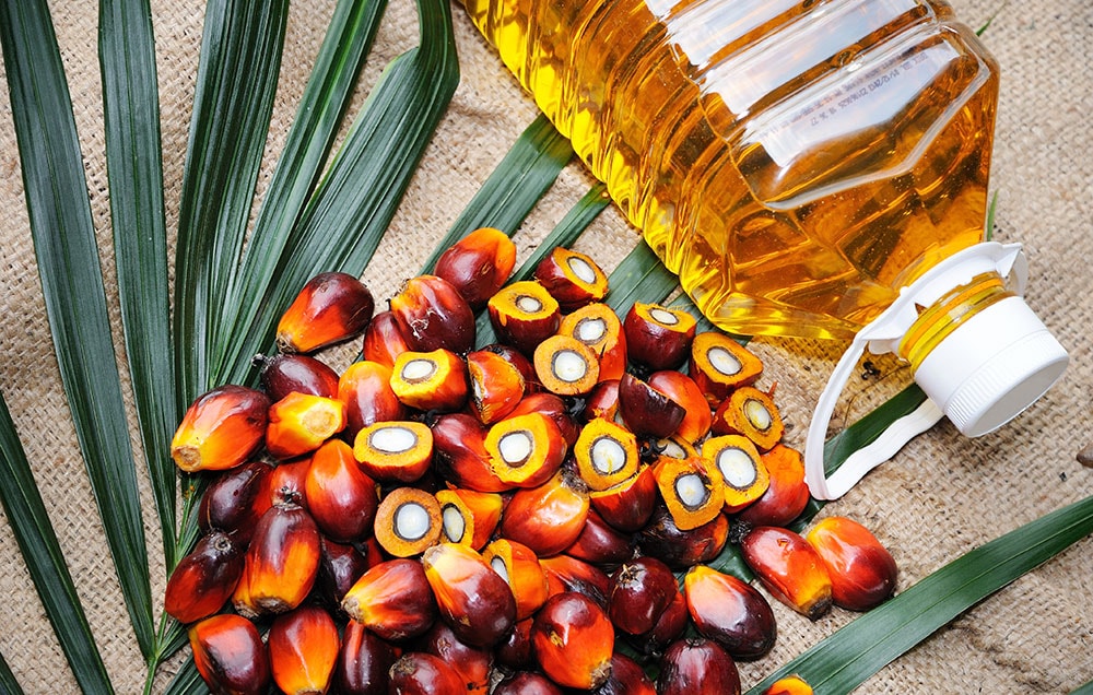 سهم واردات روغن پالم در کشور کاهش یافت