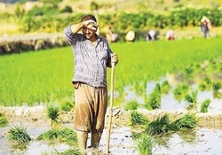 بخش خبری مجله خبری مورخ 6 تیر ماه 97 + فیلم