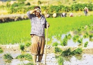 کم آبی؛ مشکلی که می توان با روش های گوناگون اثرات منفی آن را کاهش داد  + فیلم