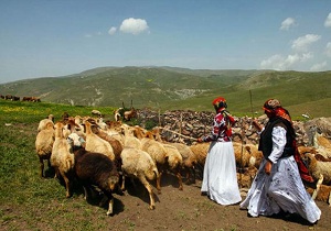 توزیع بیش از ۲هزار دستگاه فانوس خورشیدی بین عشایر آذربایجان غربی