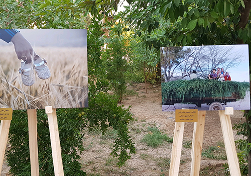 برپایی نمایشگاه گروهی عکس در فسا