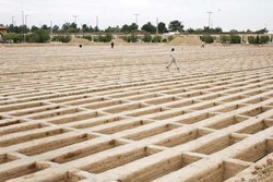سفر مجانی به فرنگ از کیسه دولت + صوت