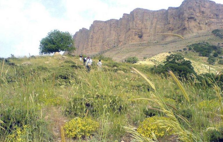 افزایش گستره اراضی حفاظت شده ایلام