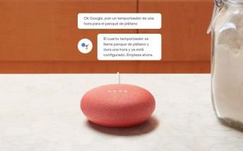 شرکت گوگل بازار Google Home و Home Mini را توسعه می&zwnj;دهد +تصویر