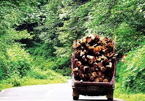 کشف 200 اصله الوار جنگلی قاچاق در جاده سرچم