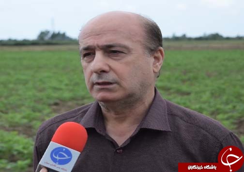 اصلاح الگوی کشت جایگزینی برای مقابله با کم آبی