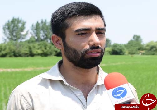 اصلاح الگوی کشت جایگزینی برای مقابله با کم آبی