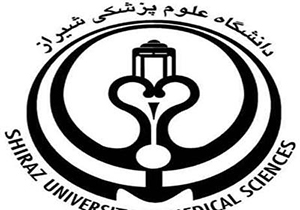 انجام ۹۴۴ بازدید از مراکز سوء مصرف مواد مخدر در شیراز