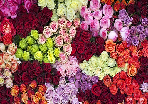 گل، هدیه خدا از بهشت
