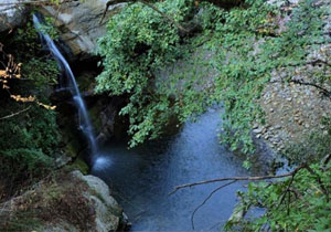 آبشار زیبا و دیدنی روستای "ساسنگ" + فیلم