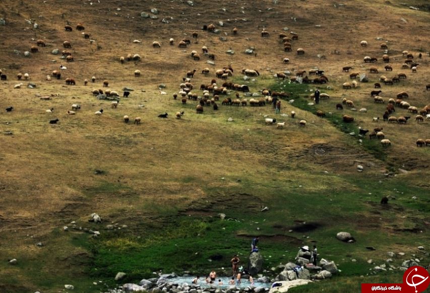 مناسب ترین مناطق ایران برای سفر در تابستان