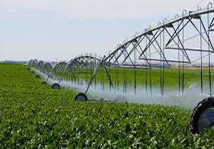 اجرای دو سیستم آبیاری نوین در فضای سبز بیرجند