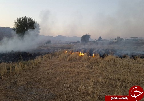 شعله کوچک کبریت کشاورز و تبعات منفی آن