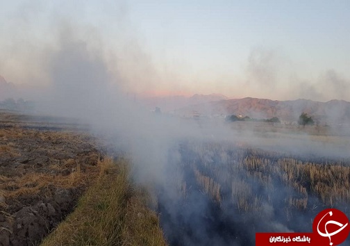 شعله کوچک کبریت کشاورز و تبعات منفی آن