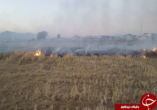 شعله کوچک کبریت کشاورز و تبعات منفی آن