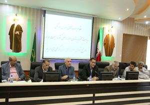 وثیقه بانکی مانعی برای جذب تسهیلات اشتغال روستایی