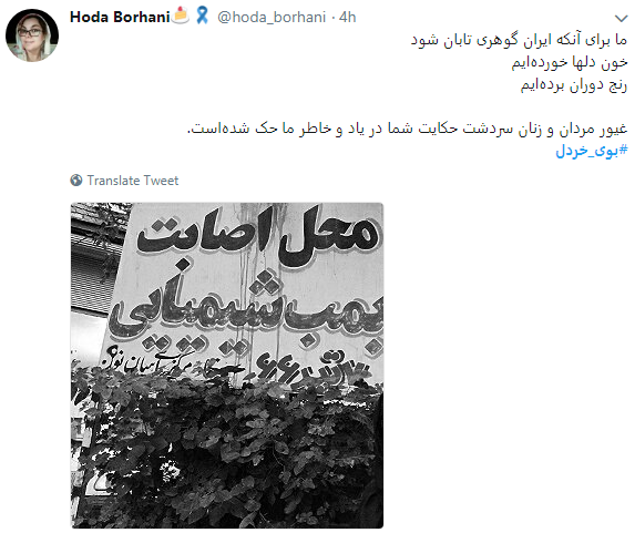 بوی خردل از سردشت به فضای مجازی رسید