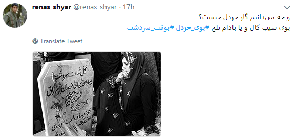 بوی خردل از سردشت به فضای مجازی رسید