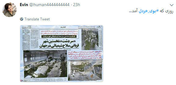 بوی خردل از سردشت به فضای مجازی رسید