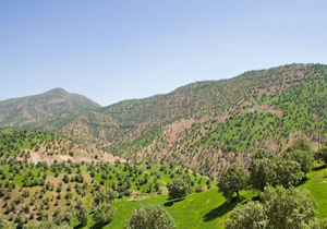 پیش بینی جوی پایدار در چهارمحال و بختیاری