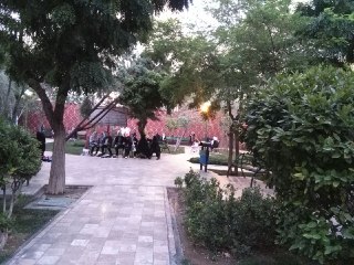 پایان هفته را در بوستان بدون دخانیات شیخ هادی سپری کنید