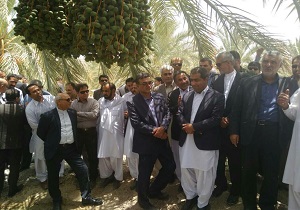 خشکسالی زندگی مردم سیستان و بلوچستان را فلج کرده است