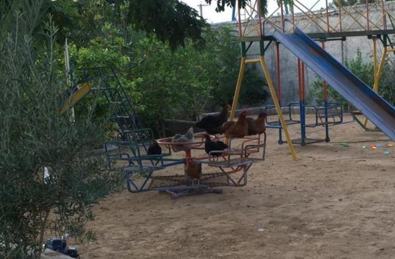 آب ۴۰ خانه باغ بوشهر قطع شد