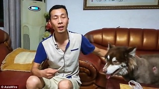 حواس&zwnj;پرتی راننده جان سگ را به خطر انداخت+ فیلم