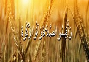 پرداخت ۱۸ میلیارد ریال زکات درسیستان وبلوچستان