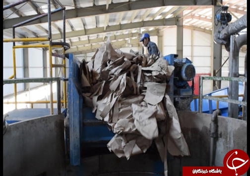 بازار کاغذ با واردات می&zwnj; چرخد