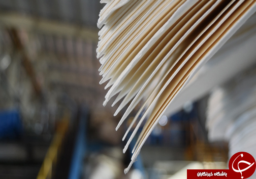 بازار کاغذ با واردات می&zwnj; چرخد