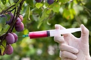 از پروژه &laquo;بیوتروریسم آرایشی&raquo; دشمن علیه زنان تا رواج مرگ خاموش در ایران