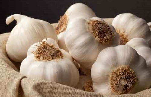 //با این روش سه سوته شکمتان را تخت کنید/چرا مدام هوس برخی خوراکی&zwnj;ها را داریم؟/وسیله&zwnj;ای دم دستی که با جانتان بازی می&zwnj;کند/دوست پوکی استخوان را بشناسید
