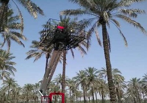 برگزاری همایش مکانیزاسیون نخیلات در حاجی آباد