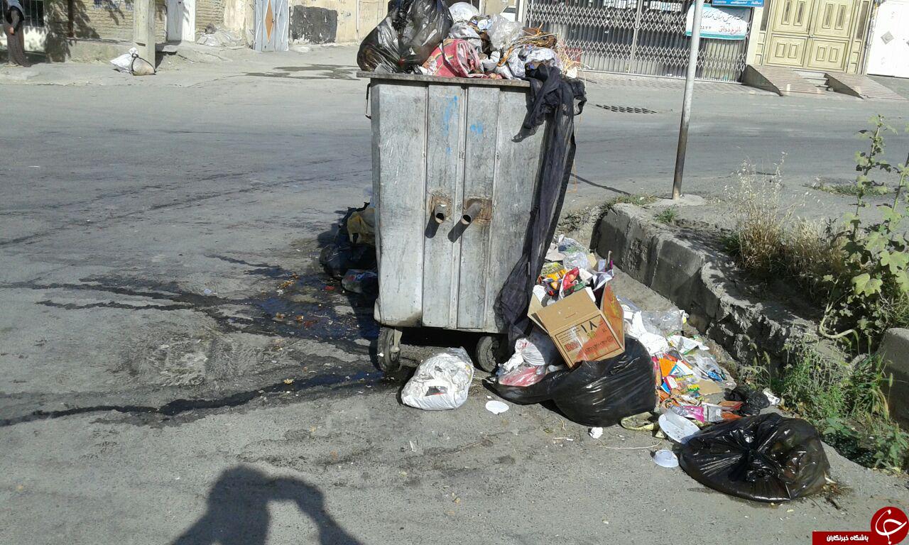 انباشت زباله در خیابان&zwnj;های مریوان + تصاویر