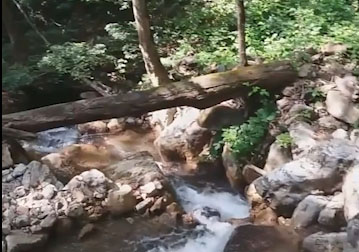طبیعت زیبای روستای "چناربن زارم" + فیلم