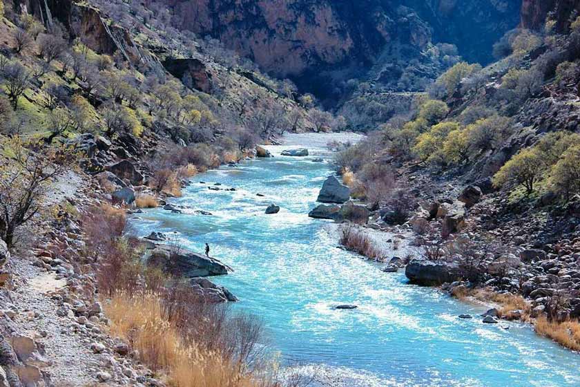 بریدن نفس های بشار درسایه سکوت وبی تدبیری مسئولان