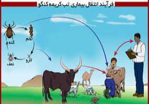 آشنایی کشاورزان نور با بیماری تب کنگو
