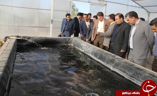 بازدید معاون هماهنگی و امور اقتصادی استاندار یزد از کارخانجات تعمیر لکوموتیو و سایت شیلات بافق
