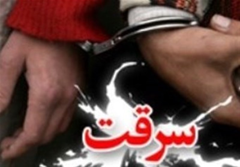 ۱۳ سارق در دشتستان دستگیر شدند